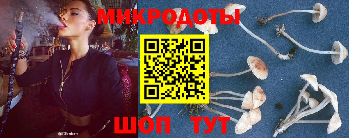 Галлюциногенные грибы прущие грибы  Вход с VPN  Галлюциногенные грибы прущие грибы  Саратов 